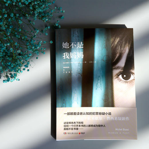 (仓发) 她不是我妈妈/湖南文艺出版社/米歇尔·普西/9787540485382 商品图1