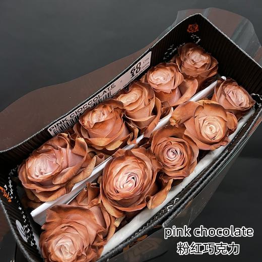 预售厄瓜多尔染色玫瑰花PINK CIOCCOLATE粉红巧克力10支 商品图3