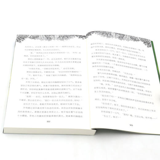 勇士之地(3热血狂骨) 商品图4