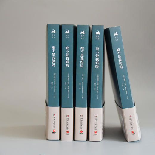 (仓发) 她不是我妈妈/湖南文艺出版社/米歇尔·普西/9787540485382 商品图3