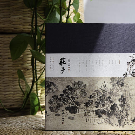 庄子 庄周 著 老庄之道逍遥游传统文化道家典籍中国哲学书 国学 商品图3