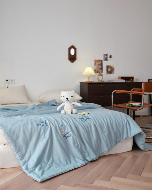 【下架】自然醒全棉卡通双层纱绣花抗菌夏被纯棉防螨可水洗夏凉被空调被子LB 商品图2