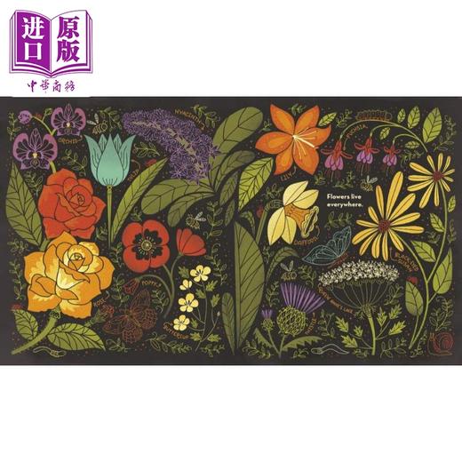 【中商原版】What's Inside A Flower？  花儿里的东西 英文原版 进口原版 4岁到8岁 精装 儿童科普图画书 Rachel Ignotofsky 商品图1