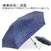 D.Jernny黛嘉霓太阳伞女迷你五折伞超轻小便捷加大遮阳防晒防紫外线晴雨两用DSH22HD072699 商品缩略图1