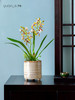 新中式高端仿真花餐桌花摆花茶室客厅玄关兰花摆设茶几前台装饰花 商品缩略图0