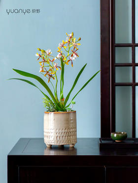 新中式高端仿真花餐桌花摆花茶室客厅玄关兰花摆设茶几前台装饰花