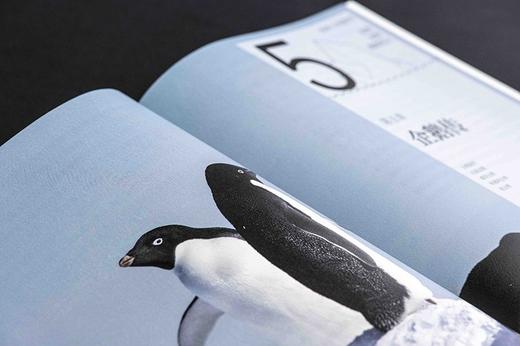 (仓发) 冰洲上的游戏：段煦南极博物笔记/化学工业出版社/段煦/9787122384768 商品图6