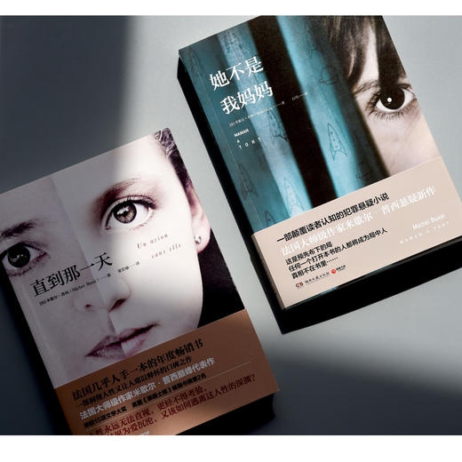 (仓发) 她不是我妈妈/湖南文艺出版社/米歇尔·普西/9787540485382 商品图4