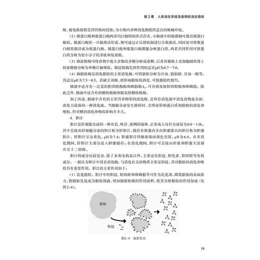 基础营养学/杨菊林/浙江大学出版社 商品图3