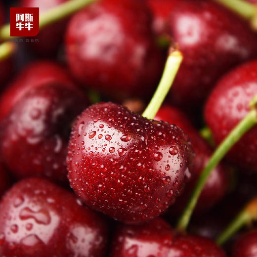 【水果界YYDS】蜜甜大樱桃 新鲜车厘子 商品图3