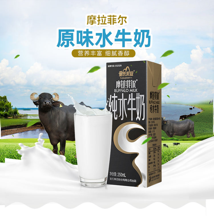 皇氏乳业摩拉菲尔原味水牛奶250mlx12盒件