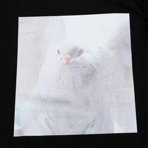 BURBERRY/博柏利 男士长袖T恤 男款棉质圆领长袖T恤 8031881 商品图4