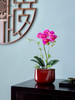 新中式高端蝴蝶兰仿真花餐桌花摆花茶室客厅玄关摆设件茶几装饰花 商品缩略图3