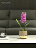 假花风信子仿真花高档轻奢酒店客厅餐桌插花装饰花茶几花艺摆设件 商品缩略图3
