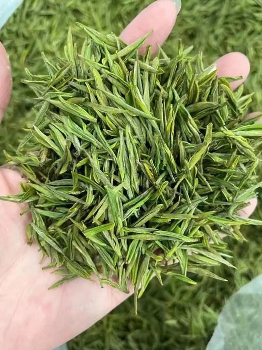 吾心之乡安吉白茶-自留 商品图8