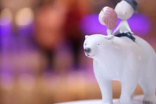 风飘过的地方/北极熊/500版 商品图3