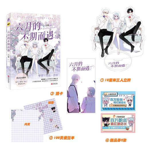 (仓发) 六月的不期而遇/宁波出版社/绘/9787552641790 商品图0