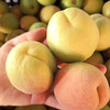 【助农】陕西凯特杏  新鲜现摘 果肉饱满 酸脆爽口 商品缩略图5