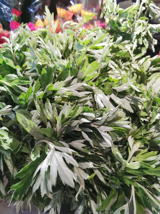 艾草叶 商品图0