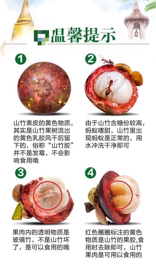 【顺丰快递】印尼空运山竹、软糯香滑、细嫩洁白、味甜多汁 商品图5