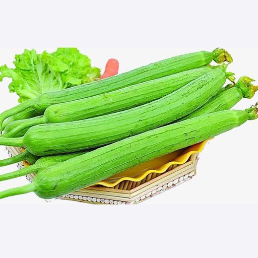 蔬菜（丝瓜）500g/份 商品图0