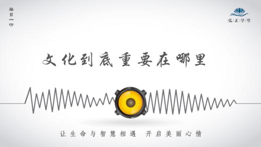 516条丨老说文化重要，到底重要在哪里 商品图0