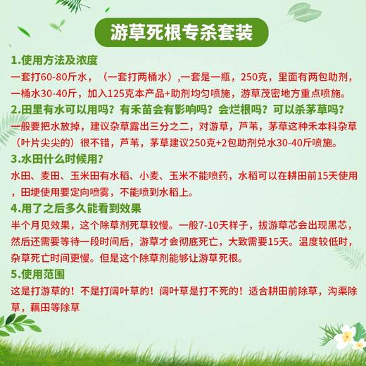 游草专杀套餐 高效氟吡甲禾灵升级版 专杀空心游草芦苇茅草除草剂 商品图1