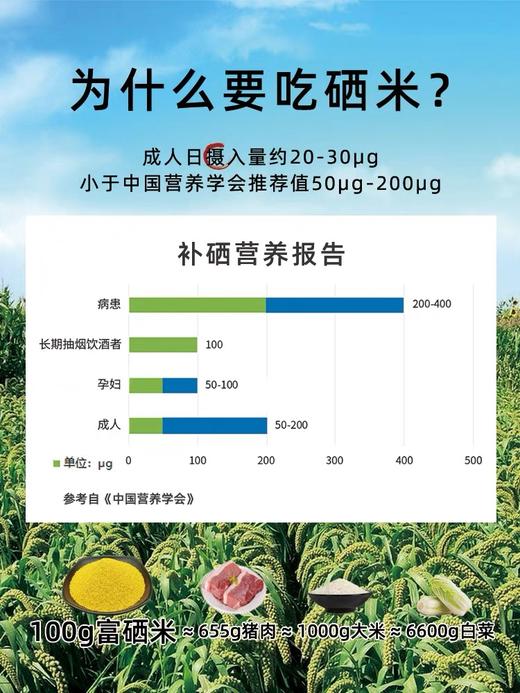 塞外火山土富硒有机小米（礼盒装400g*6袋/箱） 商品图3