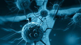 观念的思考--—— 瘟疫的“因、缘、果”