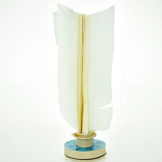 正品新健牌太仓306毽球成人健身运动比赛专用毽子花键耐踢标准比赛毽球白色1个 商品图1