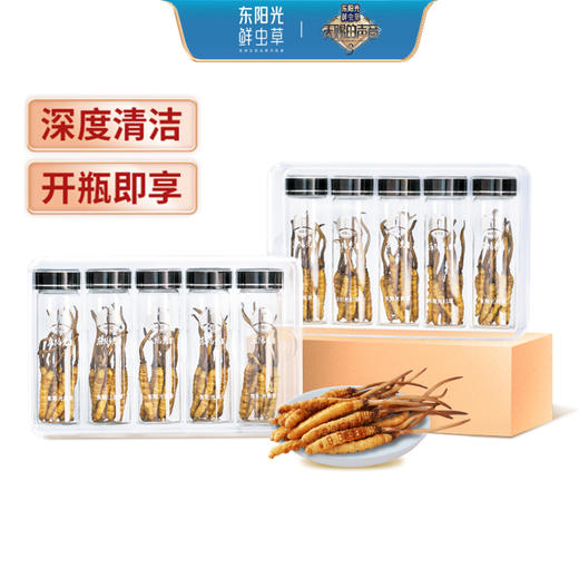 东阳光鲜虫草 新鲜冬虫夏草100支 礼盒装 0.4~0.6g/支 天赐的声音同款鲜虫草 商品图0