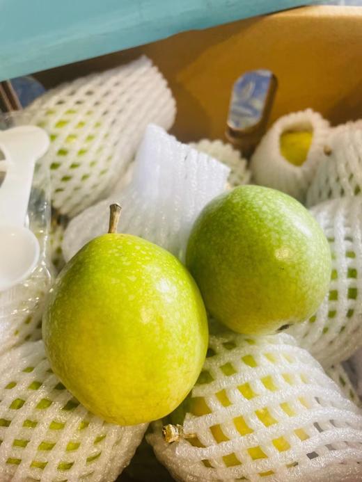 海南   黄金 百香果 【礼盒】 商品图1