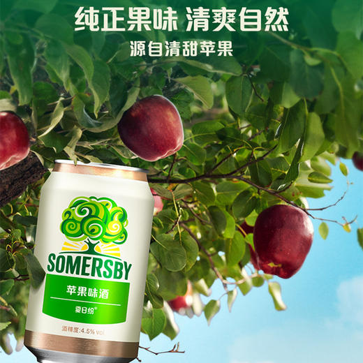 【专享】Somersby夏日纷混合口味酒330*12罐整箱（口味可选择） 商品图10