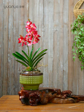 新中式高端仿真花餐桌花摆花茶室客厅玄关前台摆设茶几兰花装饰花