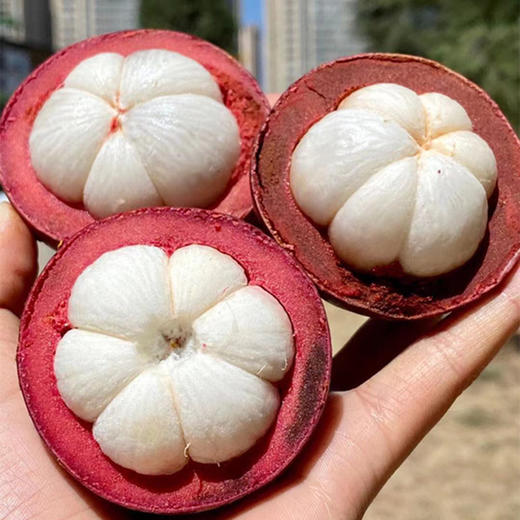 【顺丰快递】印尼空运山竹、软糯香滑、细嫩洁白、味甜多汁 商品图2