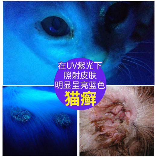 伍德氏 猫藓灯365黑镜紫光灯医用检测荧光灯 商品图1