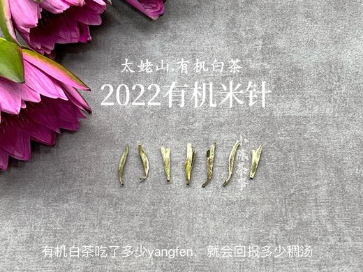 精确到克的2022有机米针，空灵，清新，柔美（50克罐装） 商品图1