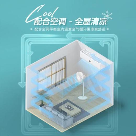 SEEDEN/西点 台地两用寸12寸交流立式空气循环扇KF-2988 商品图2