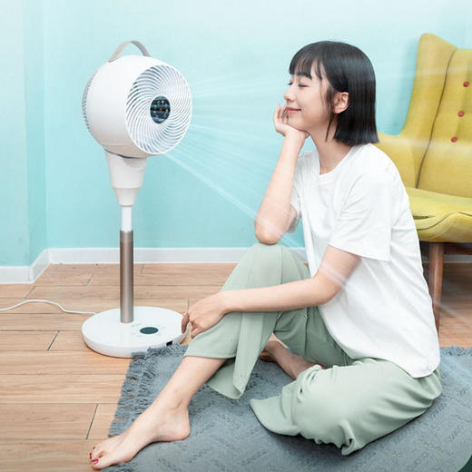 SEEDEN/西点 第三代科技变频10寸直流立式空气循环扇KF-2699单品  家用卧室自然风对流电风扇3D摇头 商品图3