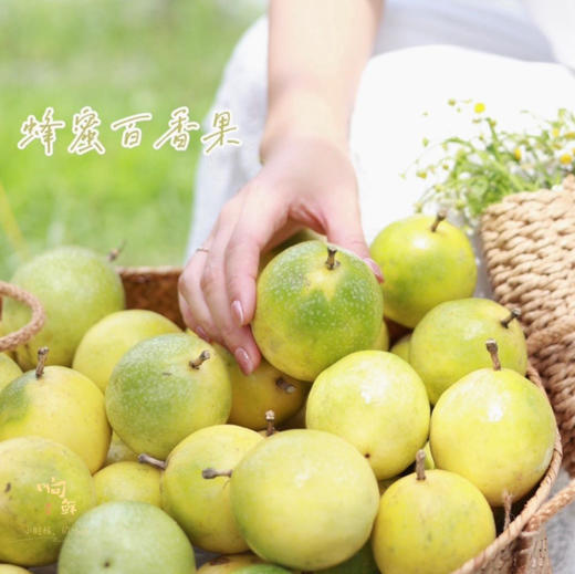 【口碑爆款】稀有品种 钦蜜9号黄金百香果 香甜多汁  香气十足   顺丰直达 商品图2