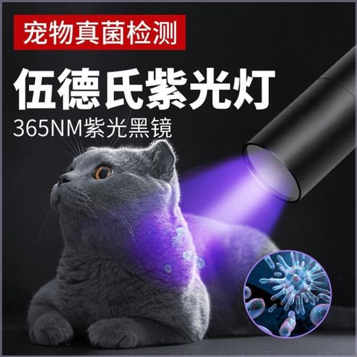 伍德氏 猫藓灯365黑镜紫光灯医用检测荧光灯 商品图0