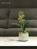 新中式高端兰花仿真花茶室客厅玄关摆设件餐桌花摆花茶几装饰花 商品缩略图2