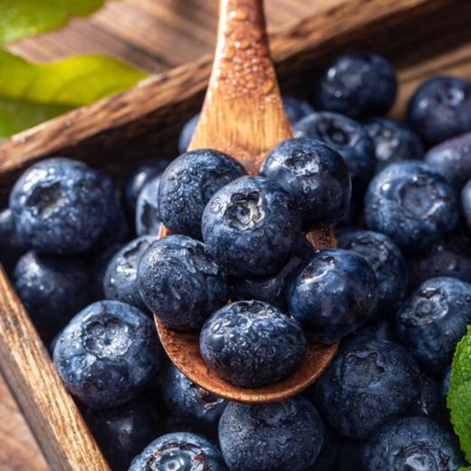 新鲜水果  脆甜可口蓝莓15+  125g/盒   商品图2