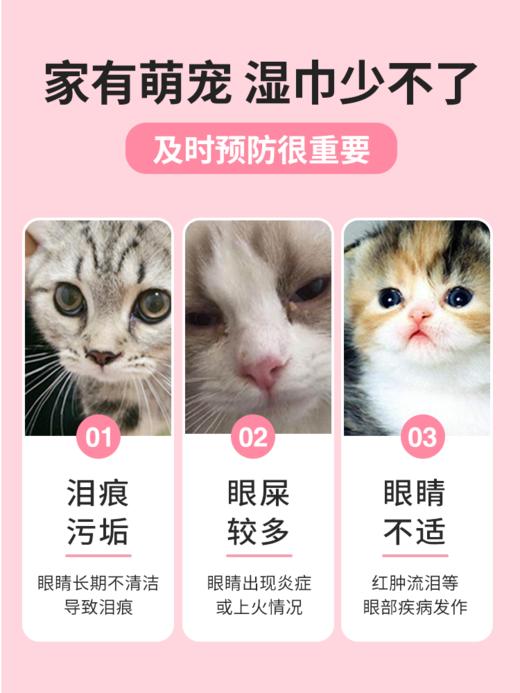 【积分商城】金多乐猫犬通用宠物眼部湿巾120片/盒*3盒 商品图2