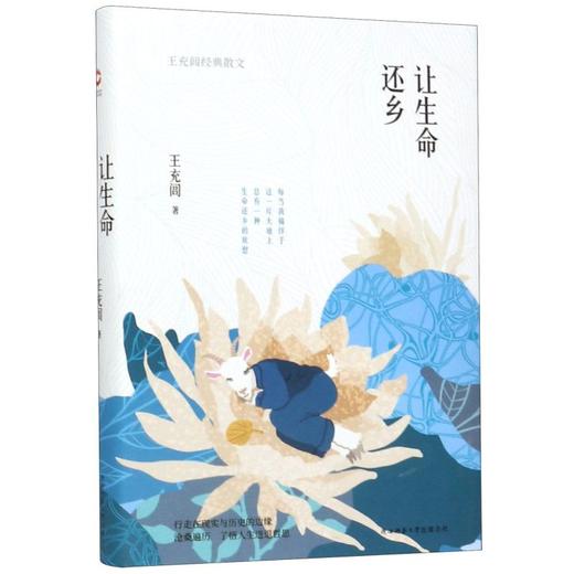 让生命还乡(王充闾经典散文) 商品图0