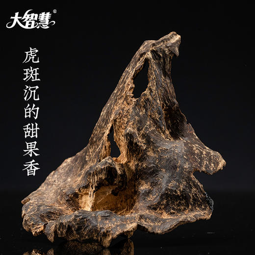 【大智慧】511芽庄虎斑沉香  无粘 商品图1