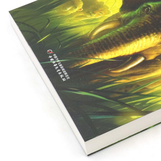 勇士之地(3热血狂骨) 商品图2