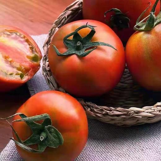 有机西红柿 | 铁皮西红柿 | 丰棚西红柿 | 口感型西红柿 |瓤沙有籽 口感粉糯  | 石嫣农场 * Organic Tomato 商品图2