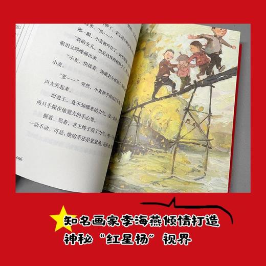 红星杨 商品图4