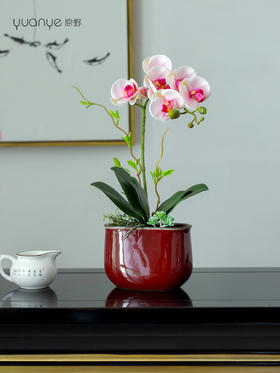 新中式高端蝴蝶兰仿真花餐桌花摆花茶室客厅玄关摆设件茶几装饰花